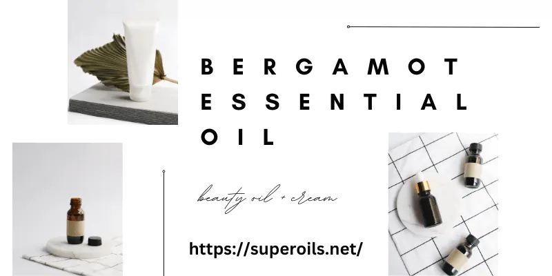 Bergamot Essential Oil - Main Image