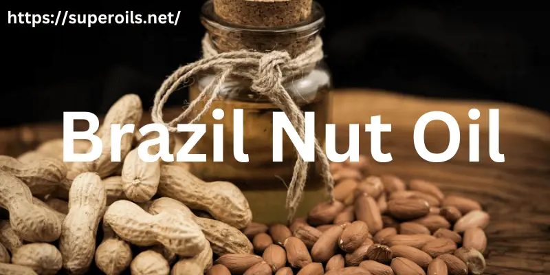 Brazil Nut Oil - Banner Image Brazil Nut Oil Banner Image