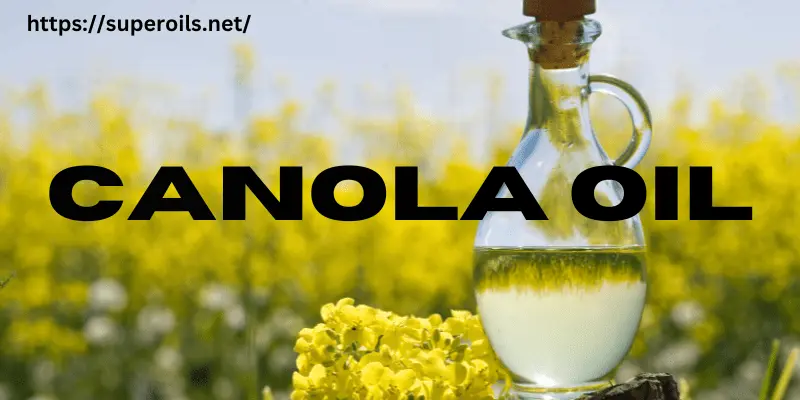 Canola Oil - Banner