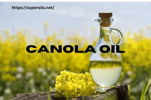 Guide to Canola Oil: A Versatile Cooking Oil