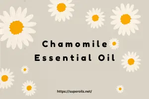 Chamomile Essential Oil: A Natural Stress Reliever