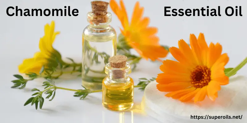 Chamomile Essential Oil - Main Image