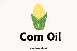 Corn Oil: Your Guide to Smart Cooking Practices Today