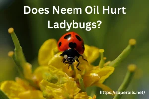 Does Neem Oil Hurt Ladybugs?