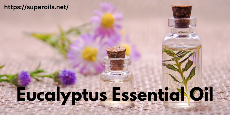 Eucalyptus Essential Oil - Banner