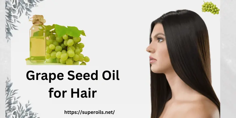 Grape Seed Oil Post Banner