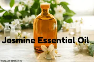 Jasmine Essential Oil: How to Use for Best Results