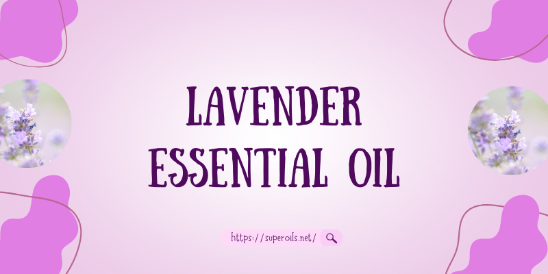 Lavender Essential Oil - Main Image
