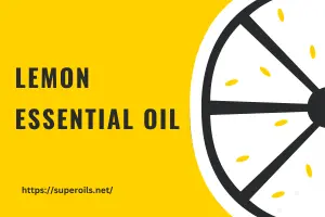 How to Use Lemon Essential Oil for Everyday Needs