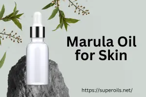 Marula Oil for Skin: Perfect for Oily and Acne Prone Skin