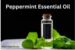 Peppermint Essential Oil for Headaches and Stress Relief