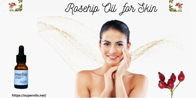 Rosehip Oil for Skin Post Banner
