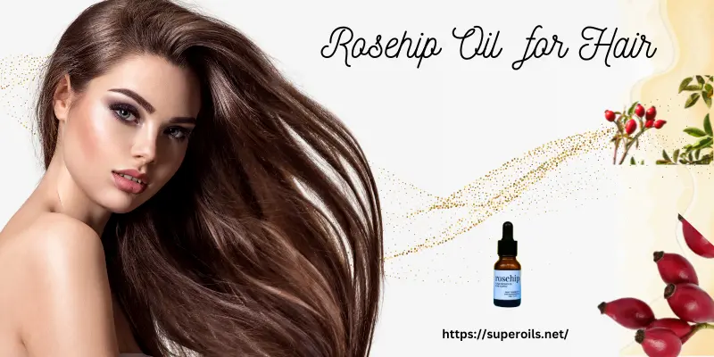 Rosehip Oil for Hair Post Banner
