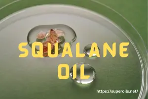 Squalane Oil: Meaning, Benefits & How to Use It