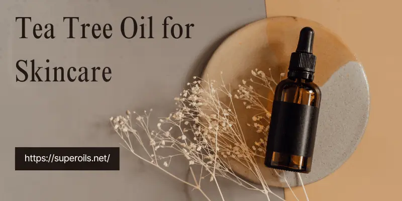 Tea Tree Oil for Skincare Tea tree Oil for skincare