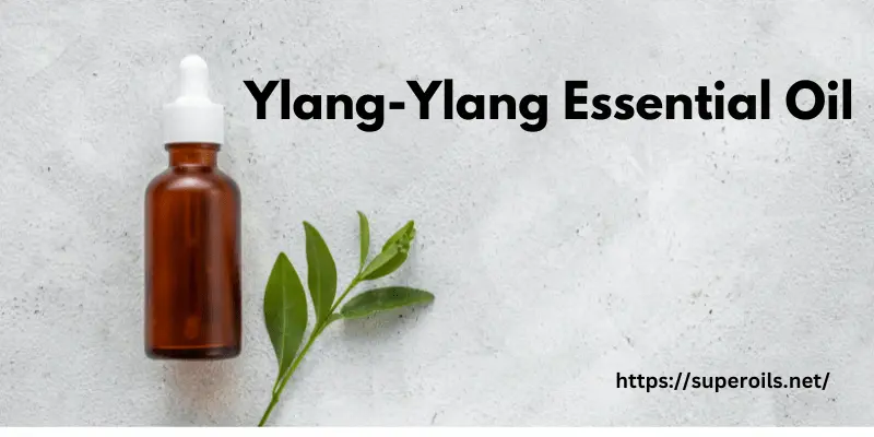 Ylang-Ylang Essential Oil - Banner Image