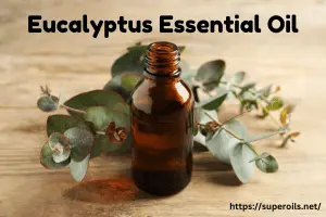 How Eucalyptus Essential Oil Can Improve Your Health